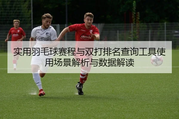 实用羽毛球赛程与双打排名查询工具使用场景解析与数据解读
